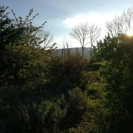 Maison En Bois Sur Pilotis Avec Jardin * Saint-Étienne-du-Valdonnez