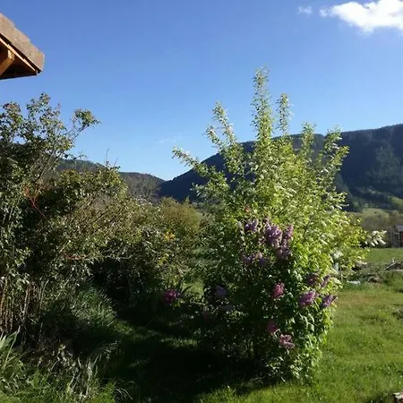 Maison En Bois Sur Pilotis Avec Jardin