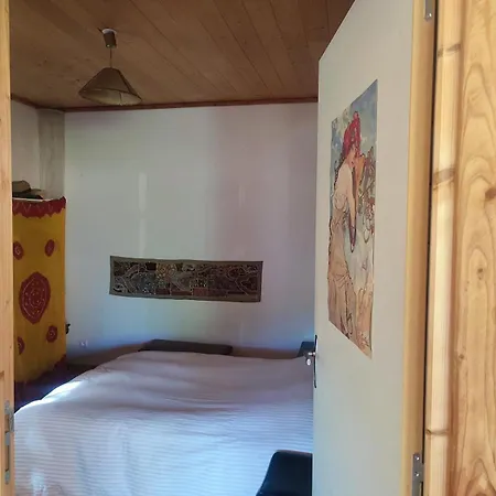 Σαλέ Maison En Bois Sur Pilotis Avec Jardin *