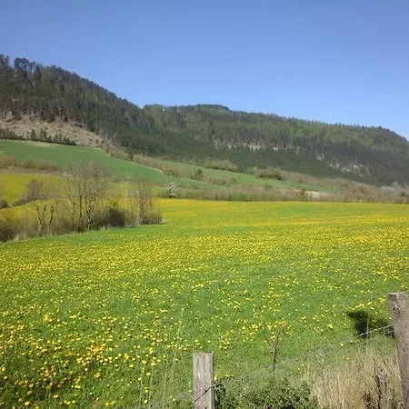 Maison En Bois Sur Pilotis Avec Jardin
