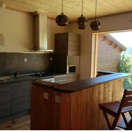 Maison En Bois Sur Pilotis Avec Jardin *