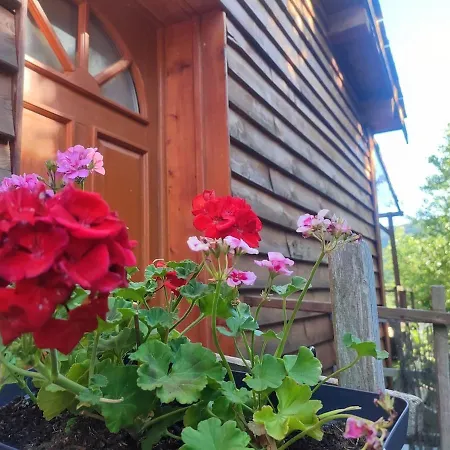 Σαλέ Maison En Bois Sur Pilotis Avec Jardin Saint-Étienne-du-Valdonnez